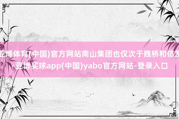 亚博体育(中国)官方网站南山集团也仅次于魏桥和信发-亚博买球app(中国)yabo官方网站-登录入口