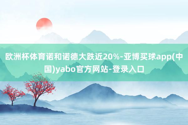欧洲杯体育诺和诺德大跌近20%-亚博买球app(中国)yabo官方网站-登录入口