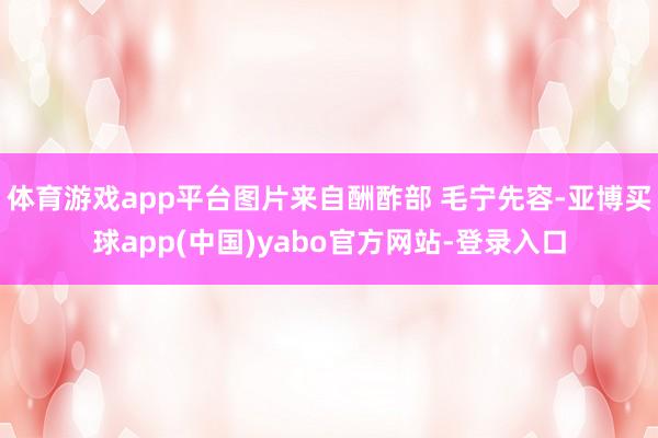 体育游戏app平台图片来自酬酢部 毛宁先容-亚博买球app(中国)yabo官方网站-登录入口