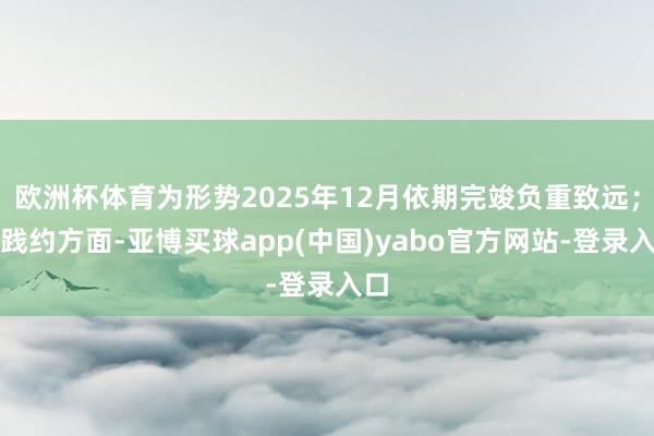 欧洲杯体育为形势2025年12月依期完竣负重致远;在践约方面-亚博买球app(中国)yabo官方网站-登录入口